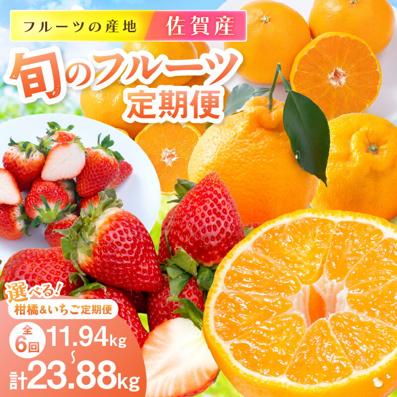 【ふるさと納税】佐賀産 旬のフルーツ定期便【全6回】 柑橘 いちご＜内容量が選べる／彩りセット・ 満喫セット＞ 【 果物 みかん 蜜柑 オレンジ かんきつ 苺 いちごさん さがほのか ふるさと納税 フルーツ 】