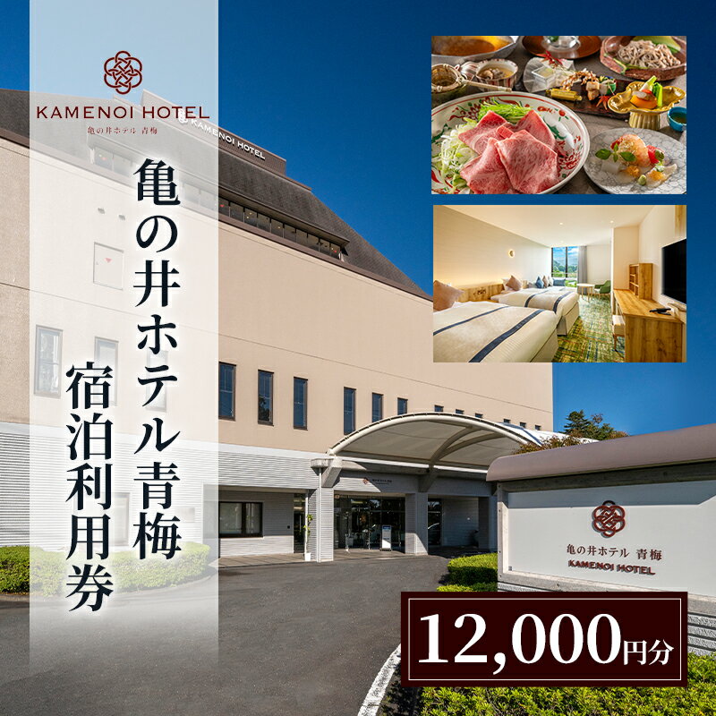 【ふるさと納税】亀の井ホテル青梅宿泊利用券（12,000円分） 会席料理 温泉 自然 家族 愛犬 奥多摩 多摩川 森渓リゾート 東京都 青梅市