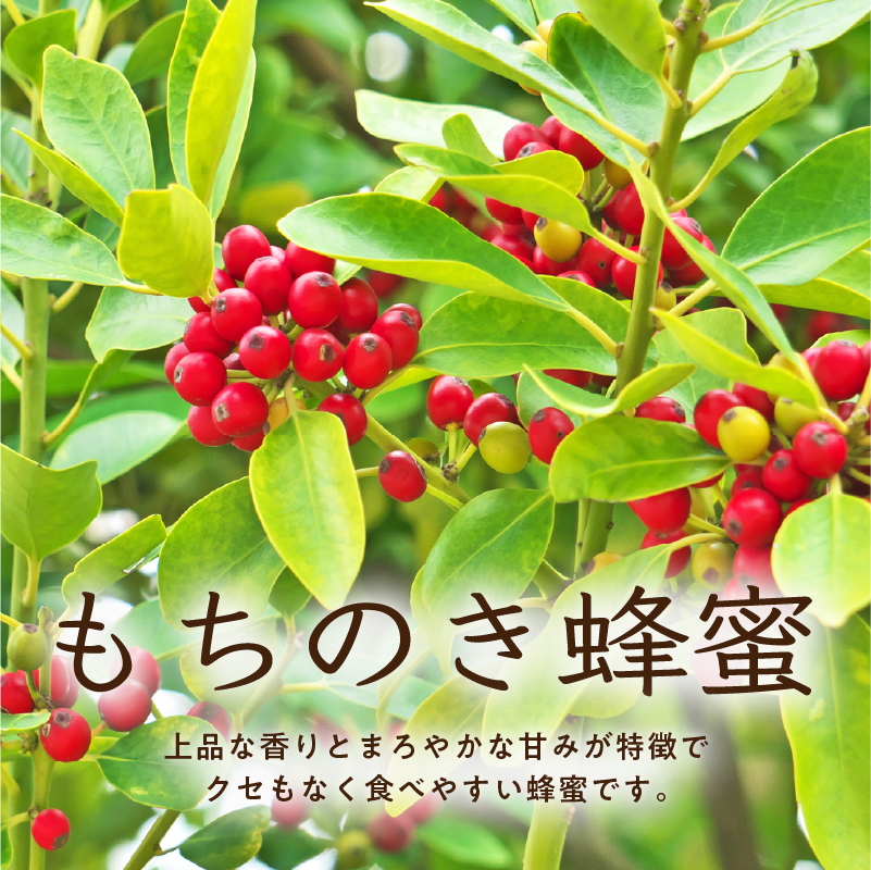 Honey farm Mel『国産純粋はちみつ』200g×3種 食べ比べセット 【0086-005】