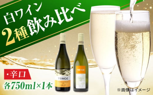 【お歳暮対象】TOMOEワイン2本セット A ワイン 受賞 飲み比べ ワインセット ギフト 三次市/広島三次ワイナリー[APAZ021]