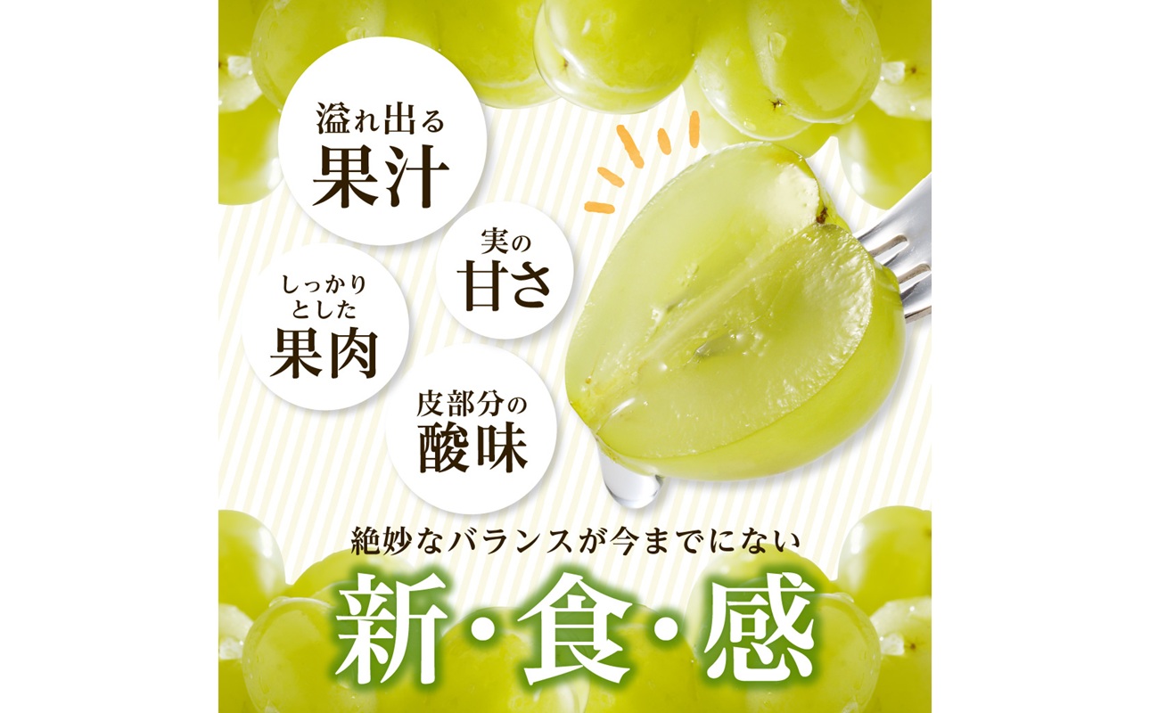 【2025年発送】びぜん葡萄「桃太郎ぶどう」（ハウス栽培）約2kg入 【 岡山県備前市産 桃太郎ぶどう ハウス栽培 約2kg （3～5房目安） 】