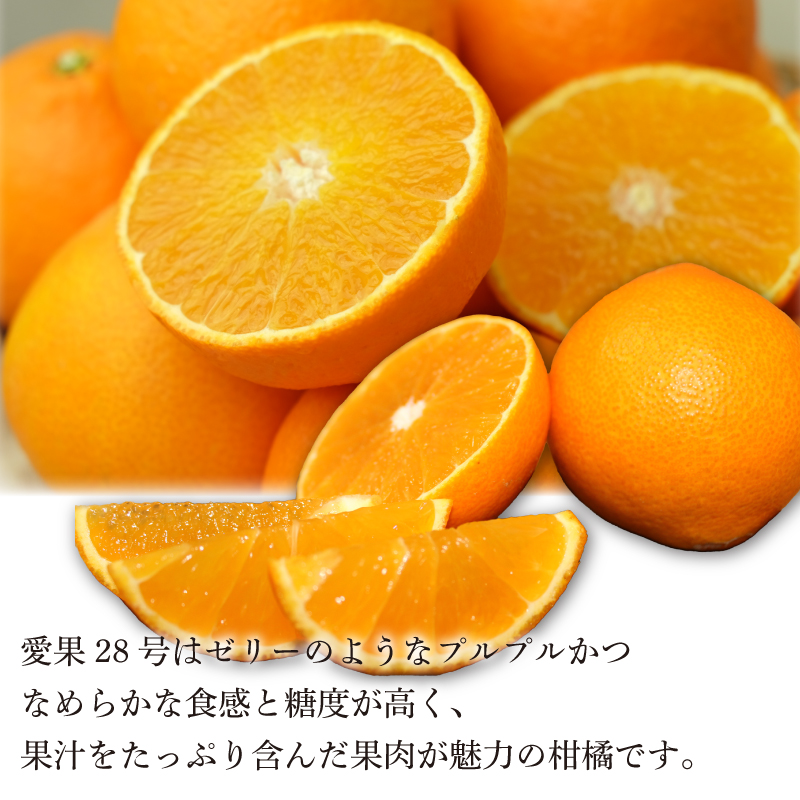 【先行予約】【2025年12月中旬頃順次発送】 みかん あいか28号 1.5kg（5〜8玉） 愛媛 みかん あいか あいか28号 愛果 愛果28号 紅マドンナ 紅まどんな と同品種 蜜柑 柑橘 果物 