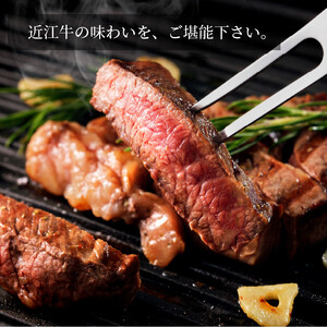 近江牛 ステーキ 食べ比べ ロース・ヒレ 計600g（各150g×2枚 計4枚）A4/A5 牛長商会 みんなのお肉本舗