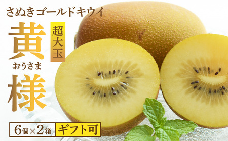【配送不可地域：北海道・沖縄県・離島】【ふるさと納税】さぬきゴールドキウイ「黄様」超大玉６個入り×２箱【ギフト可】  秋 旬
