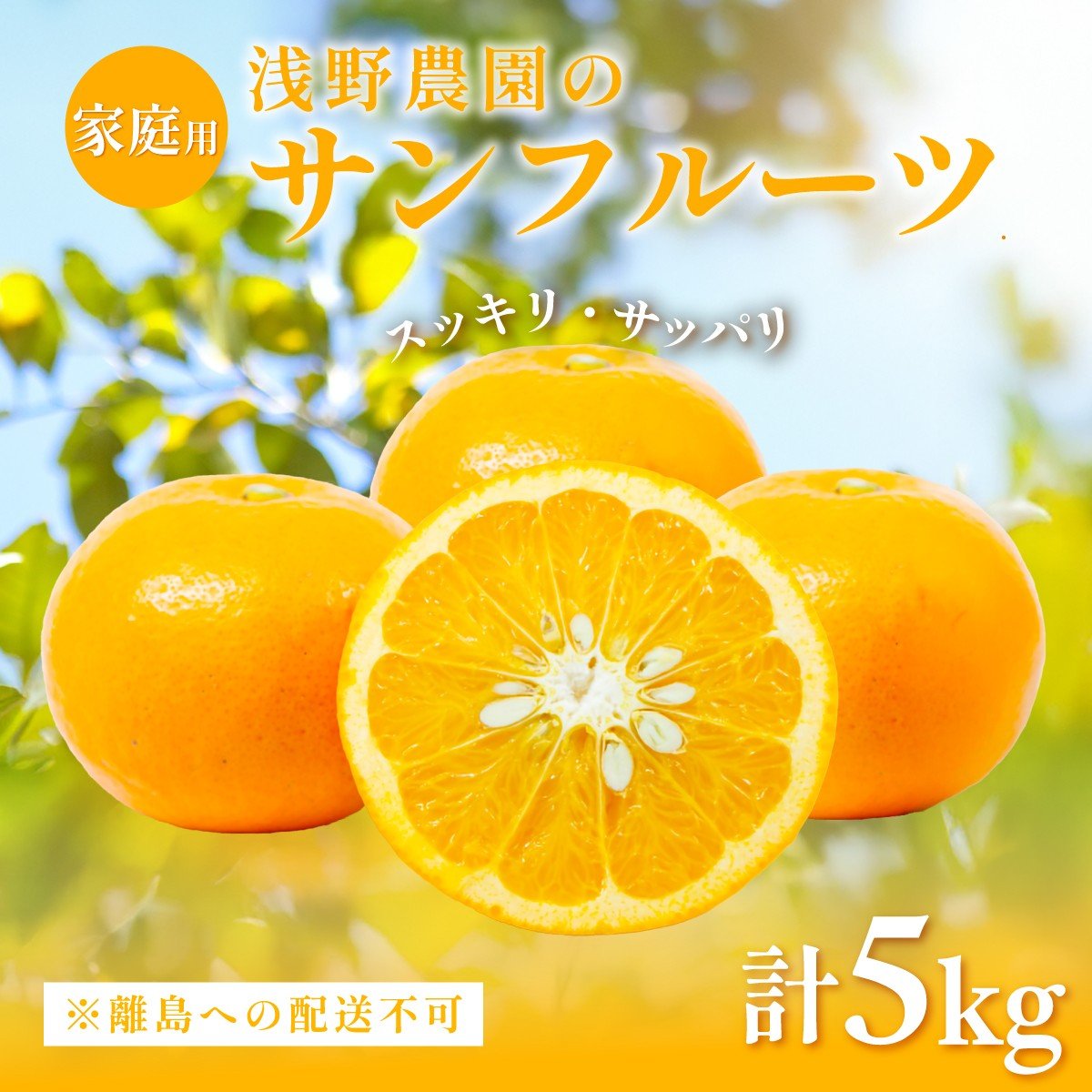 
                  【先行予約】【家庭用】浅野農園のサンフルーツ5kg ※離島への配送不可（2026年4月中旬頃より順次発送予定） 【 ふるさと納税 人気 おすすめ ランキング 柑橘 みかん ミカン オレンジ  サンフルーツ フルーツ 果物 くだもの 旬 愛媛県産 愛媛みかん 浅野農園 愛媛県 伊方町 送料無料 】IKTAC010
                