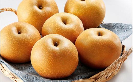 和歌山県産 旬の梨 約2kg【2025年8月中旬～順次発送】 / 梨 なし ナシ 幸水 豊水 秋月 果物 フルーツ 由良町 和歌山県【mtgn095】