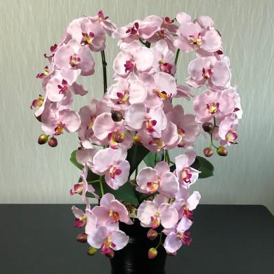 ふるさと納税 大垣市 光触媒造花胡蝶蘭　5本立(ピンク)
