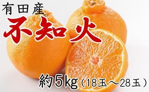 
										
										【濃厚】有田の不知火約5kg（18～28玉）★2025年2月上旬頃より順次発送
									