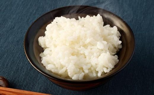 2024年秋収穫分 福岡県大川市産ヒノヒカリ 4kg