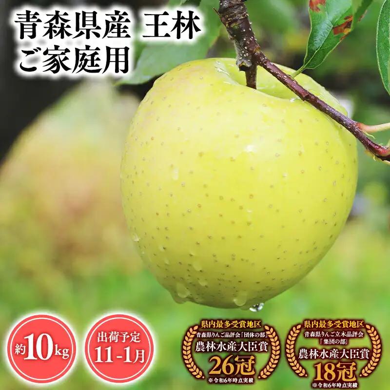りんご 家庭用 王林10kg りんご