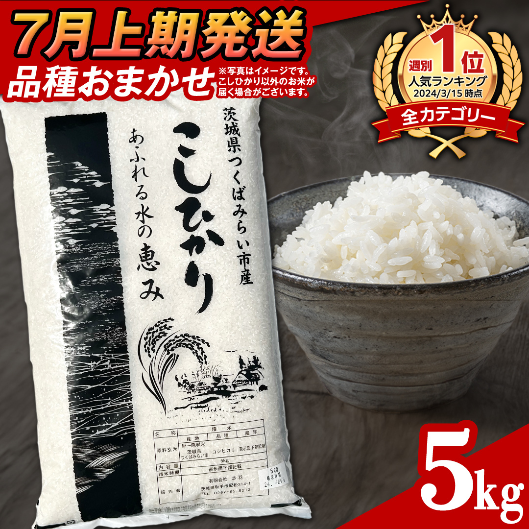 【 7月上期発送 / 数量限定 】茨城県つくばみらい市産 精米 5kg (品種おまかせ） 令和6年産 こしひかり 米 コメ こめ 単一米 限定 茨城県産 国産 美味しい お米 おこめ おコメ