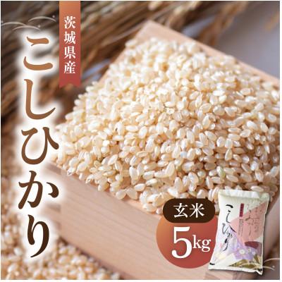 ふるさと納税 かすみがうら市 令和8年産 新米 コシヒカリ 玄米 5kg | こしひかり お米 茨城県かすみがうら市産