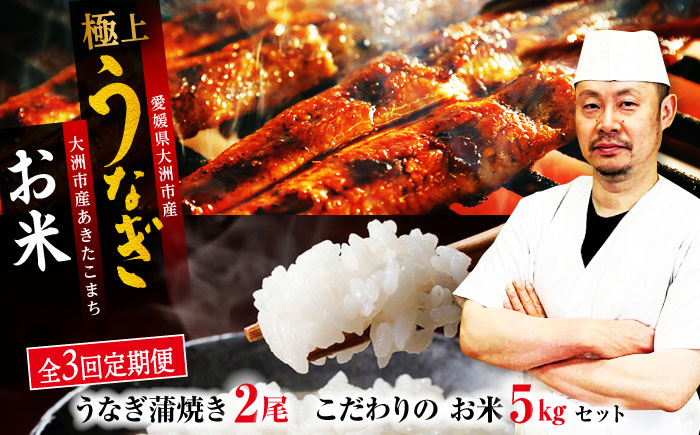 【全3回定期便】国産うなぎ！秘伝のタレで焼き上げた「うなぎ蒲焼き 2尾」と地元生産者こだわりの「お米 5kg」セット　愛媛県大洲市/有限会社 樽井旅館 [AGAH008]鰻 うな重 ひつまぶし 土用の丑の日 鰻重 ウナギ うな丼 鰻丼 うなぎ丼 お米 おにぎり 白米 ごはん ご飯 白ごはん