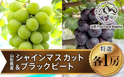 《先行予約》2024年 山形県山辺町産 特選シャインマスカットと果汁たっぷりブラックビートセット 2024年9月中旬から順次発送 F21A-239