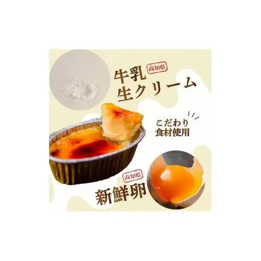 クレームブリュレ9個_スイーツ デザート ブリュレ 高知県 須崎 人気 美味しい セット ギフト プレゼント_【LF020】