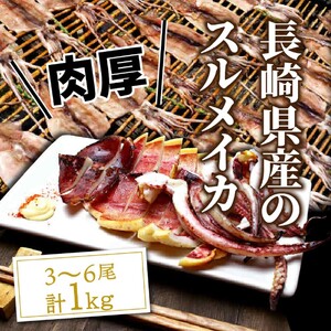 1511R_サイズは不揃いでも味は絶品!肉厚するめ烏賊一夜干し 