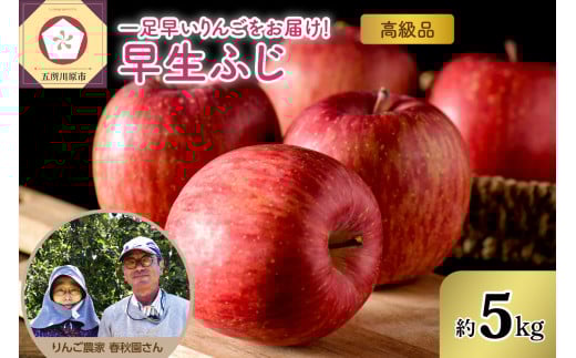 【先行予約 2025年10月上旬発送】りんご（早生ふじ）約5kg 高級品 春秋園 青森【贈答用 リンゴ 林檎 早生フジ】