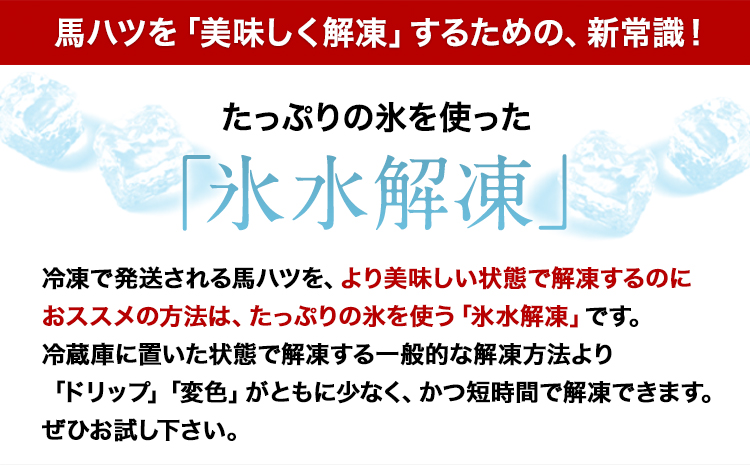 馬ハツ刺し ブロック 50g×6ブロック 300g 馬ハツ(心臓) 国産  たれ付 《10月上旬-12月中旬頃出荷》---gkt_fkghatsu_ae1012_12000_300g---