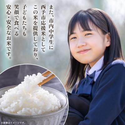 ふるさと納税 西予市 新米<令和7年産 愛媛県西予市産 コシヒカリ 田んぼダム米 10kg> 選べる 10キロ こしひか |  | 03