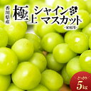 【ふるさと納税】[No.5911-0093【ご家庭用】極上シャインマスカット　どっさり約5kg　果物・ぶどう・フルーツ・5kg・葡萄・シャインマスカット・マスカット・種なし　お届け：2024年8月下旬～10月上旬頃※状況によって希望通りお届けできない場合もあります。