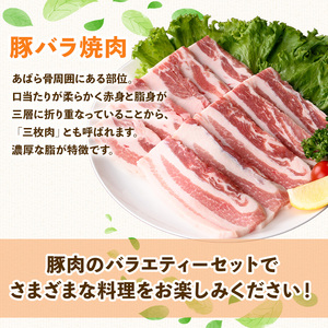 鹿児島県産 豚 バラエティー 焼肉 セット 冷凍(合計2.7kg) 【ハピネス】A930
