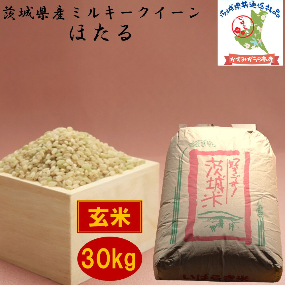 【ふるさと納税】 令和7年度産 ミルキークイーン ほたる 30kg 農家直送 低温保存玄米 茨城県産 茨城県共通返礼品 かすみがうら市産 米 お米 玄米 こめ 取り寄せ 特産 ごはん ご飯 コメ お取り寄せ ギフト 贈り物 お弁当 弁当 おにぎり ふっくら ツヤツヤ 甘い 産地直送 国産