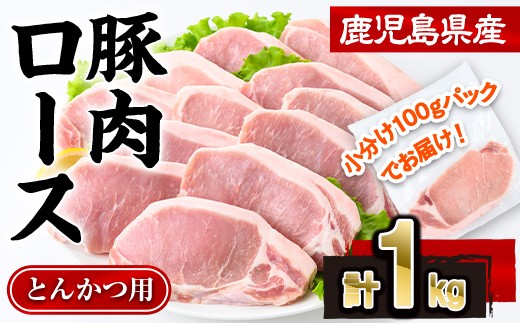 鹿児島県産豚肉ロースとんかつ(計1kg・100g×10P) 豚肉 ロース とんかつ【株式会社羽根】A1081