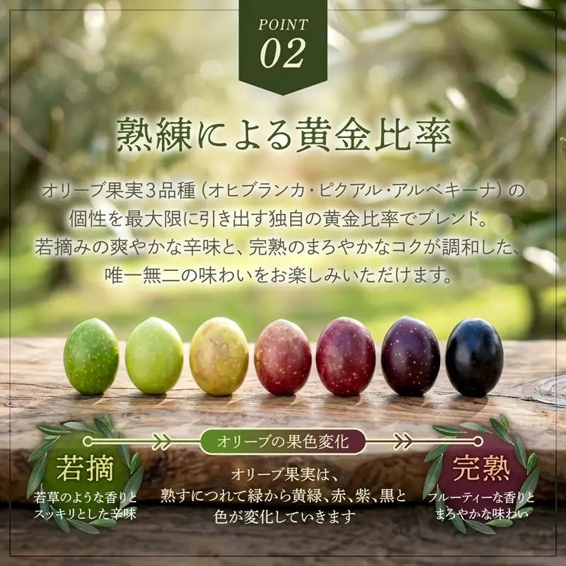 【6回定期便】オーガニック エキストラヴァージンオリーブオイル 500ml 2本セット 定期便 全6回 オリーブオイル エクストラバージン セット