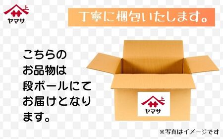 これ！うま！！つゆ 12本（1本500ml）つゆ つゆ つゆ つゆ ヤマサ 櫻井謙二商店