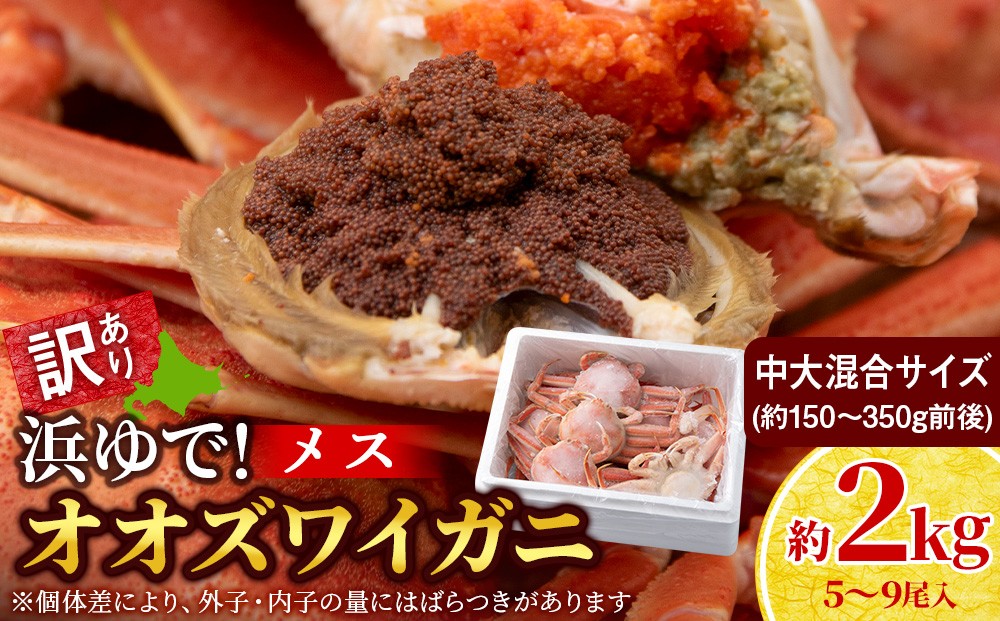 
                  【7営業日以内発送】訳あり オオズワイガニメス (約150-350g前後) 浜ゆで 2kg (5～9尾入) 
                