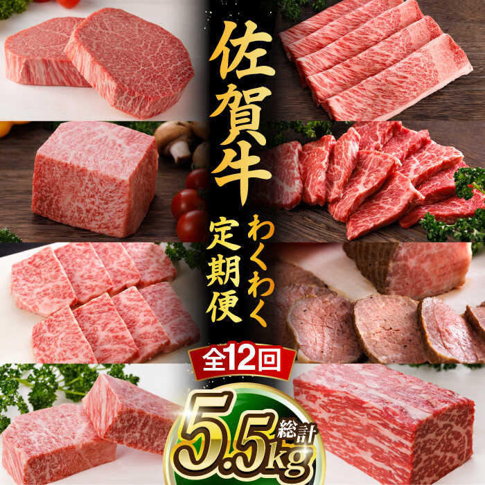 【ふるさと納税】【全12回】 A5ランク 佐賀牛 高級 霜降り 食べ比べ 定期便 約2-3人前 総計5.52kg 最高級 黒毛和牛 牛肉 武雄市 焼肉どすこい [UCC005]