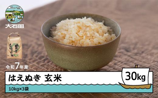 米 令和7年産 はえぬき 玄米 30kg 10kg×3袋 3月上旬発送 山形県産 東北 ap-hagxa10x3-3f