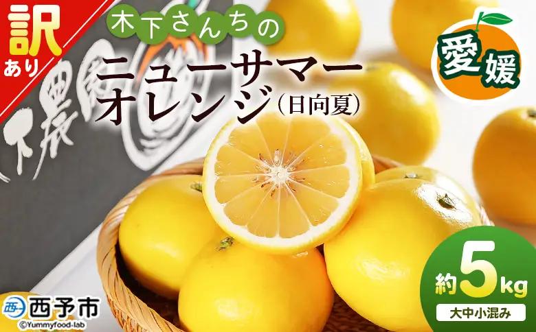 ＜木下さんちのニューサマーオレンジ 訳あり 約5kg（大中小サイズ混み）＞ 柑橘類 日向夏 ミカン 蜜柑 果物 くだもの フルーツ 国産 特産品 木下農園 愛媛県 西予市【常温】『2027年4月上旬～5月中旬に順次出荷』MKS0007