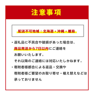 2026年4月上旬～発送【観葉植物】ザミオクルカス・ザミフォーリア 55cm～75cm(JAいぶすき/025-2021) 観葉植物 植物 グリーン 鉢 おしゃれ 大型 インテリア 室内 開店祝い 新築