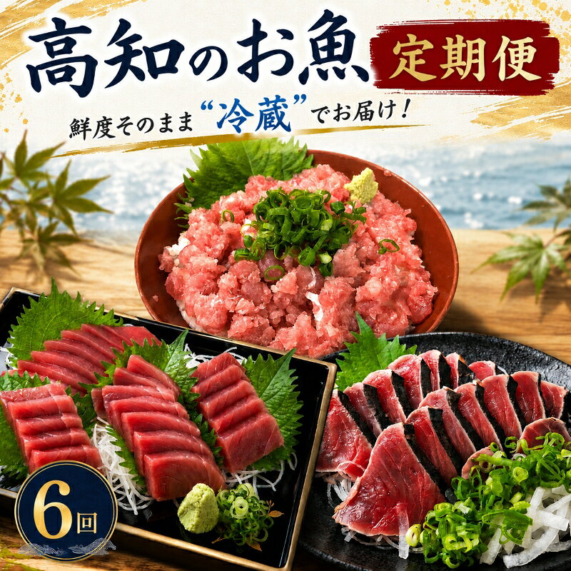 【ふるさと納税】 【冷蔵】 海鮮 6回定期便 高知 カツオ マグロ ネギトロ 天然 藁焼き かつおたたき 鰹 鮪 まぐろ ブロック 刺身 厳選 海鮮丼 マグロ丼 鮪 冷蔵 国産 高知県産 カツオ 鰹のたたき 藁焼きたたき わらやき ねぎとろ 刺し身 ギフト プレゼント 高知県