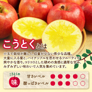 《先行受付》訳ありこうとくりんご約4.5kg 【2025年11月中旬頃～発送予定】【大江町産・山形りんご・大地農産・11月・12月】 028-025