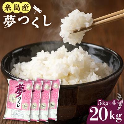 ふるさと納税 糸島市 糸島産 夢つくし 20kg 糸島市 / 三島商店[AIM074]