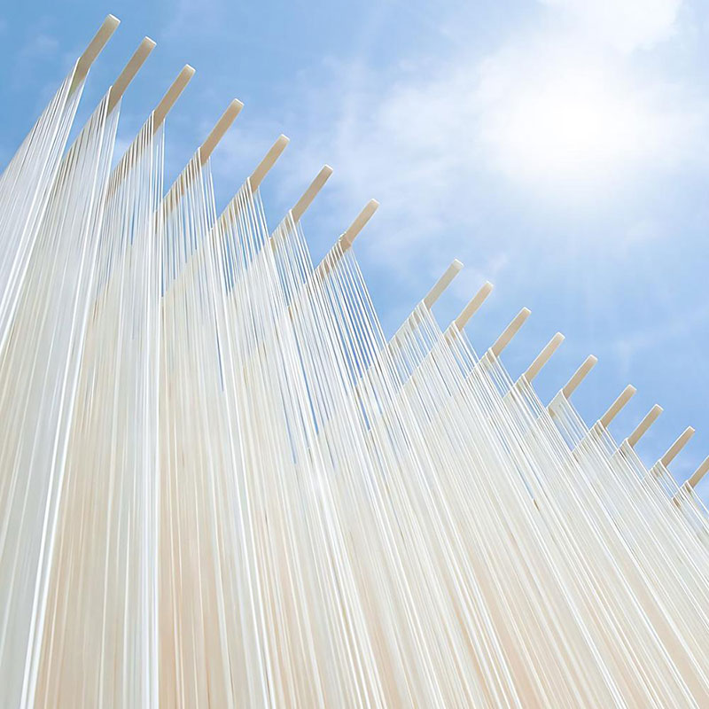 小豆島手延素麺 島の風（金帯） 単品8袋 1袋250ｇ（50g×5束）