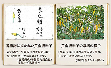 黄金一味 祇園味幸 詰め替え 9g 5袋 黄金一味