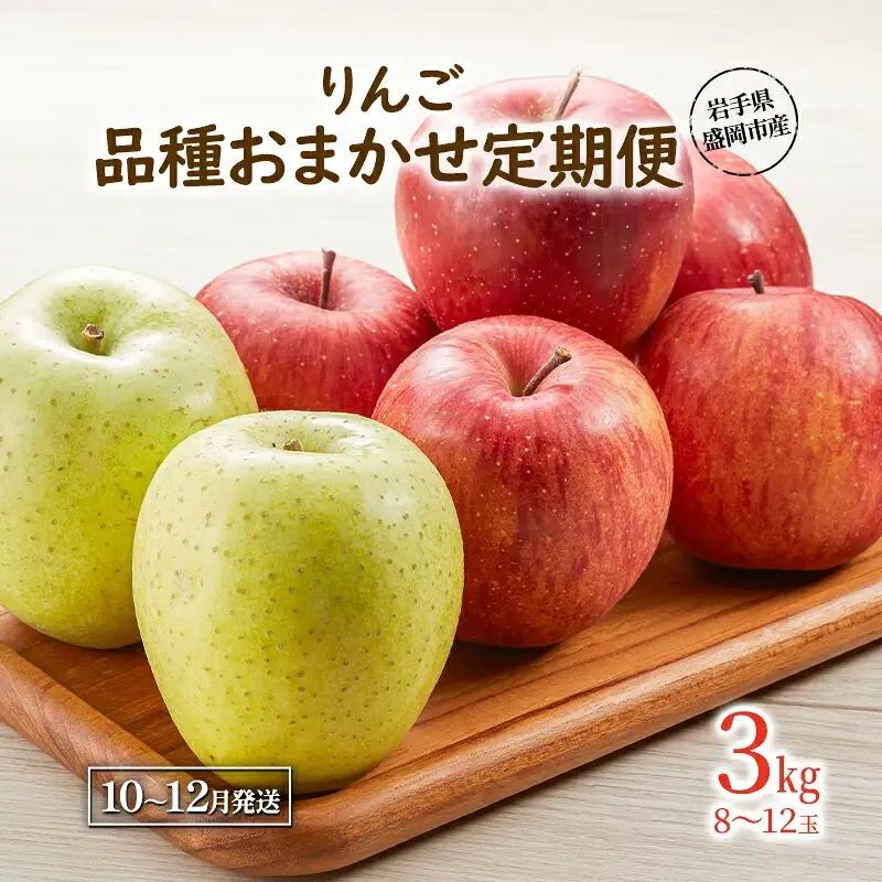 【定期便】 訳あり りんご 品種おまかせ 3kg 3ヶ月 田村ふぁーむ tamura009 りんご