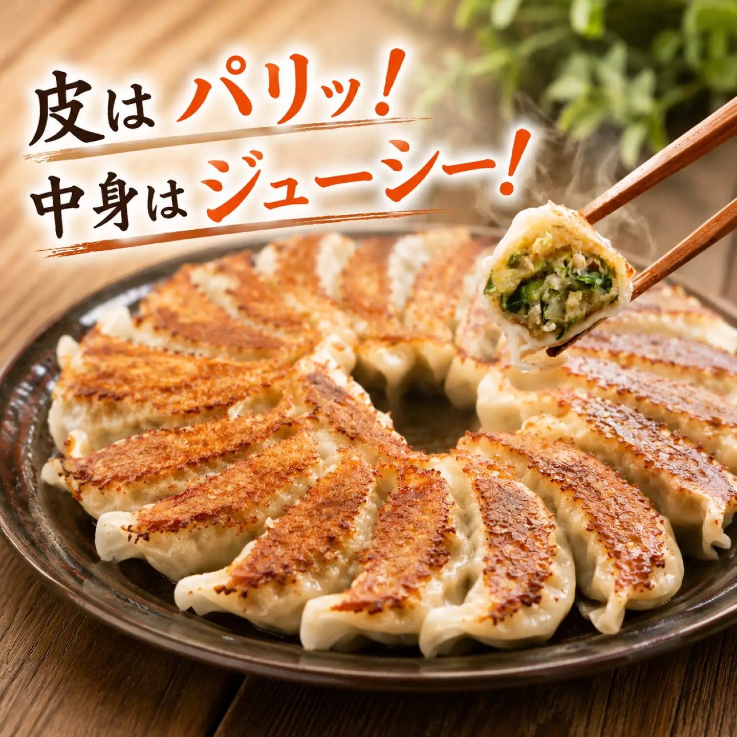 餃子 きゃべつ餃子 480個