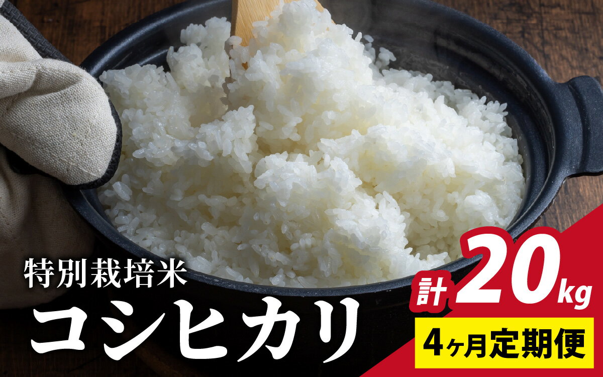 【ふるさと納税】【令和7年産 新米】【4ヶ月連続お届け】福井県認証の特別栽培米 コシヒカリ 5kg×4回　【定期便・米・精米／コシヒカリ・こしひかり・定期便】 [D-011001]
