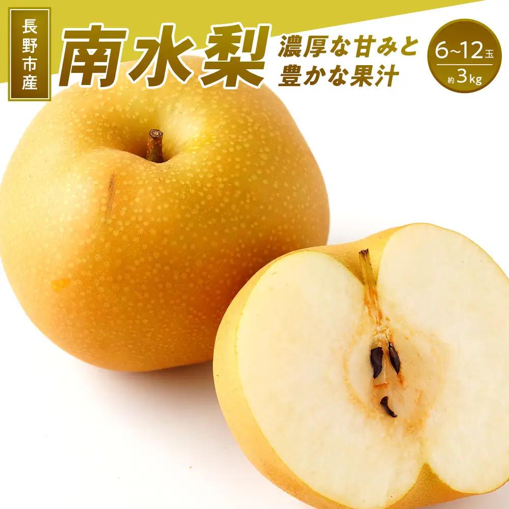 南水梨(約3kg:6玉～12玉)【2026年9月中旬以降発送予定】(さらしな青果)果物 くだもの フルーツ 旬 梨 なし ナシ 長野県 家庭用 訳あり | 梨