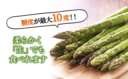 【2027年春発送】極太 グリーンアスパラ 2Lサイズ 1kg (スイートベジタブルファクトリー)