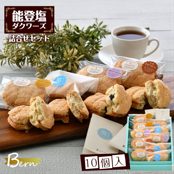【ふるさと納税】 能登塩 ダクワーズ 4種 10個 セット 個包装 地元 洋菓子店 人気 洋菓子 アールグレイ キャラメル ラムレーズン 詰め合わせ 食べ比べ 能登 天然塩 お菓子 焼き菓子 バター クリーム ダックワーズ 小分け お土産 手土産 石川 羽咋 ベルン 1万円以下