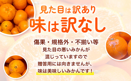 農家直送 有田 みかん 訳あり 10kg 光センサー 選別 / 温州みかん 有田みかん 甘い 家庭用 和歌山 柑橘 ※11月中旬～1月中旬に順次発送予定 ※北海道・沖縄・離島への配送不可 【nuk00