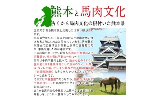 馬刺し 上赤身 ブロック 国産 熊本肥育 生食用 たれ付き(10ml×6袋) 100g×6セット 《10月中旬-12月末頃出荷》 ---gkt_fkgakm_bc1012_20000_600gt---