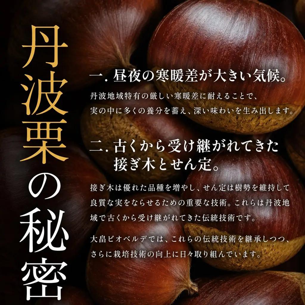 丹波焼き栗 1kg 栗 