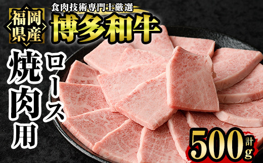 
博多和牛ロース焼肉用(500g)牛肉 国産 福岡県産 ヤキニク 冷凍＜離島配送不可＞【ksg1210】【肉の筑前屋】
