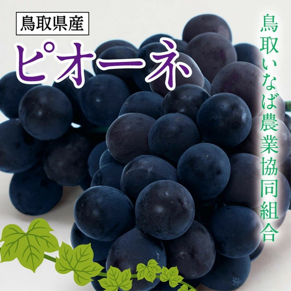 【ふるさと納税】ブドウ ピオーネ 2kg 化粧箱